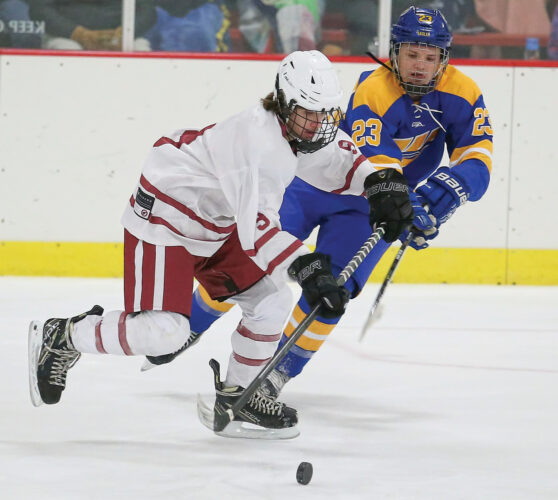 Windom nets win over Fairmont boys; Newville fuels Cardinal girls